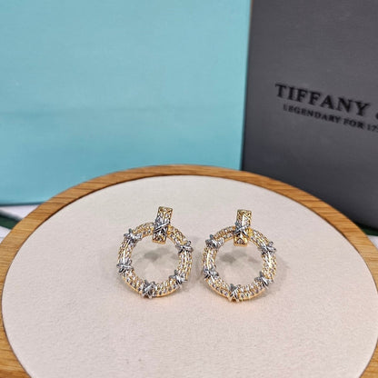 BOUCLES D’OREILLES Tiffany & Co Sixteen Stone P