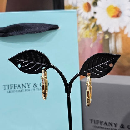 BOUCLES D’OREILLES Tiffany & Co Lock P