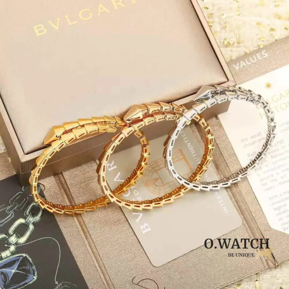 Bracelet de Luxe Pour Femme / F300686 bracelet femme