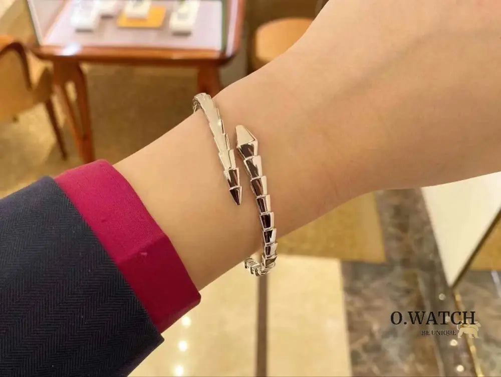 Bracelet de Luxe Pour Femme / F300686 bracelet femme