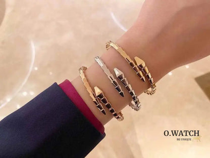 Bracelet de Luxe Pour Femme / F300686 bracelet femme