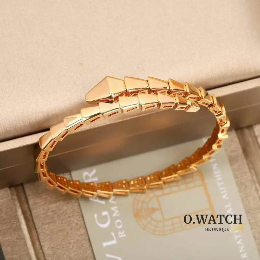 Bracelet de Luxe Pour Femme / F300686 bronze bracelet femme