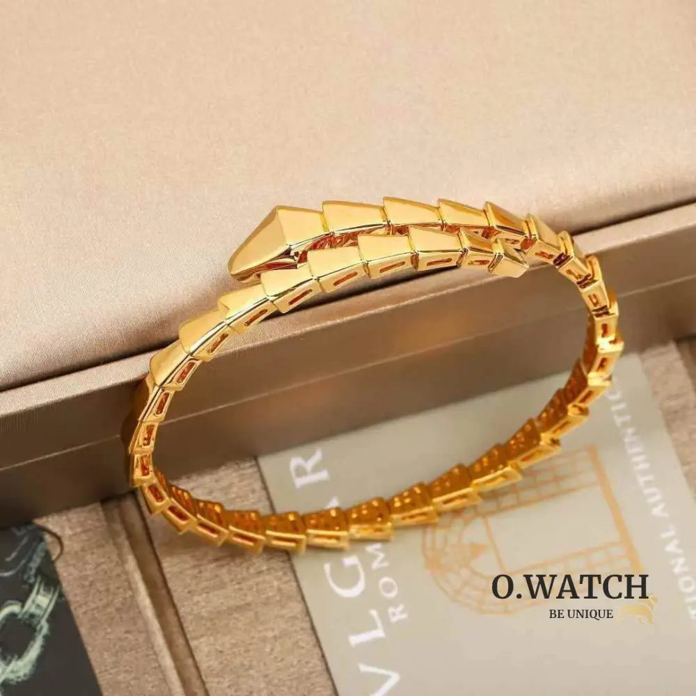 Bracelet de Luxe Pour Femme / F300686 gold bracelet femme