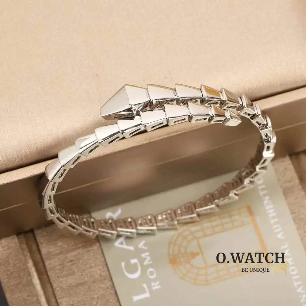 Bracelet de Luxe Pour Femme / F300686 silver bracelet femme