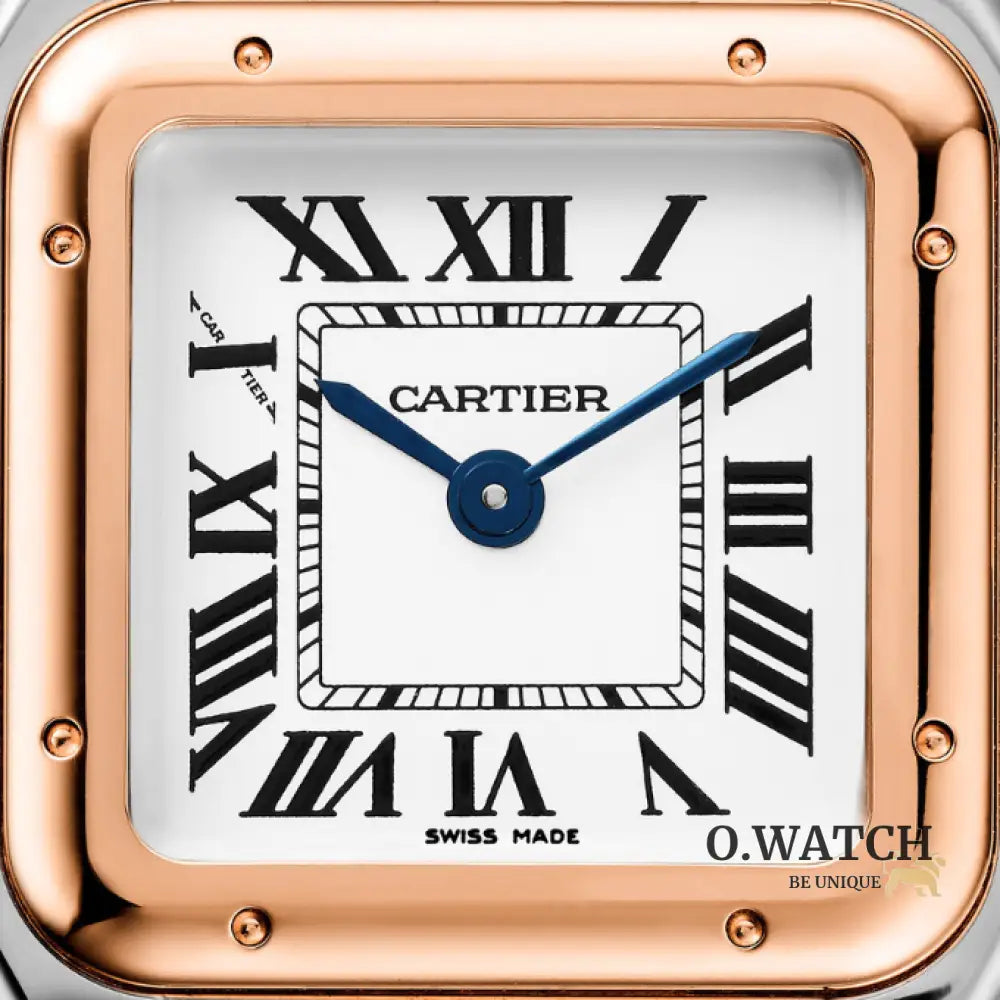 CARTIER PANTHERE ARGENTÉ ET ROSE GOLD