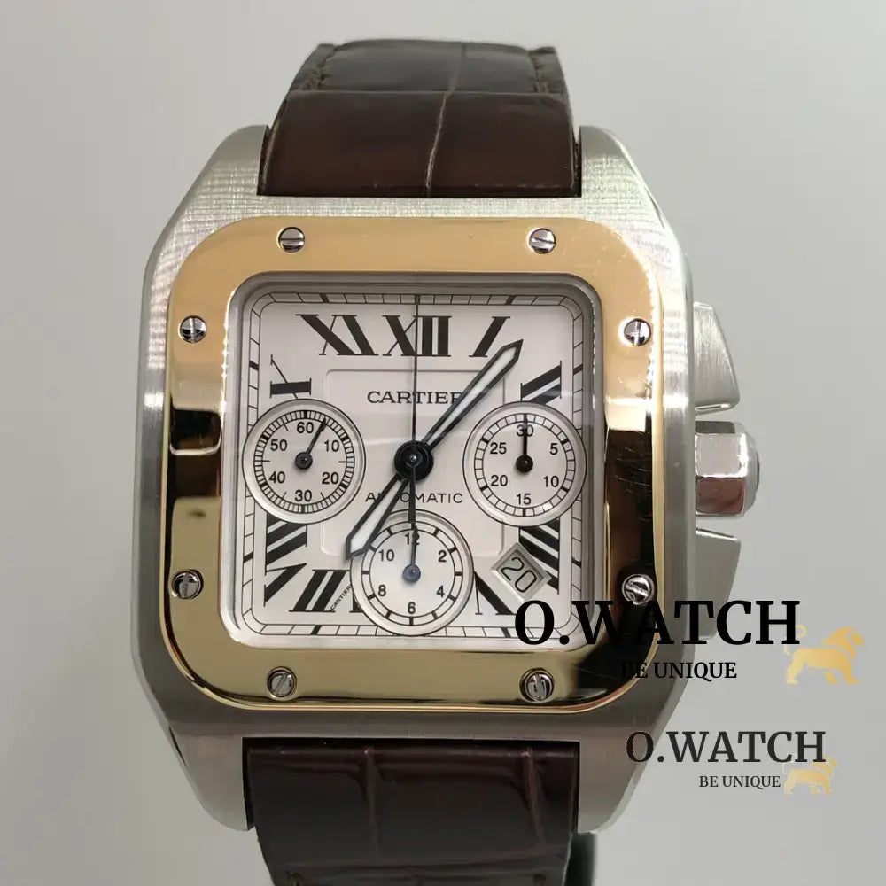 Cartier Santos Chronograph Stainless Steel bronze MONTRE