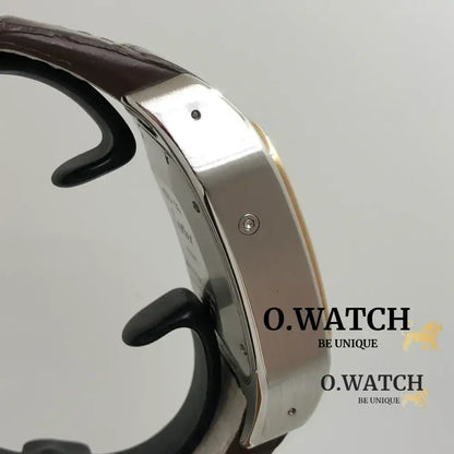 Cartier Santos Chronograph Stainless Steel bronze MONTRE