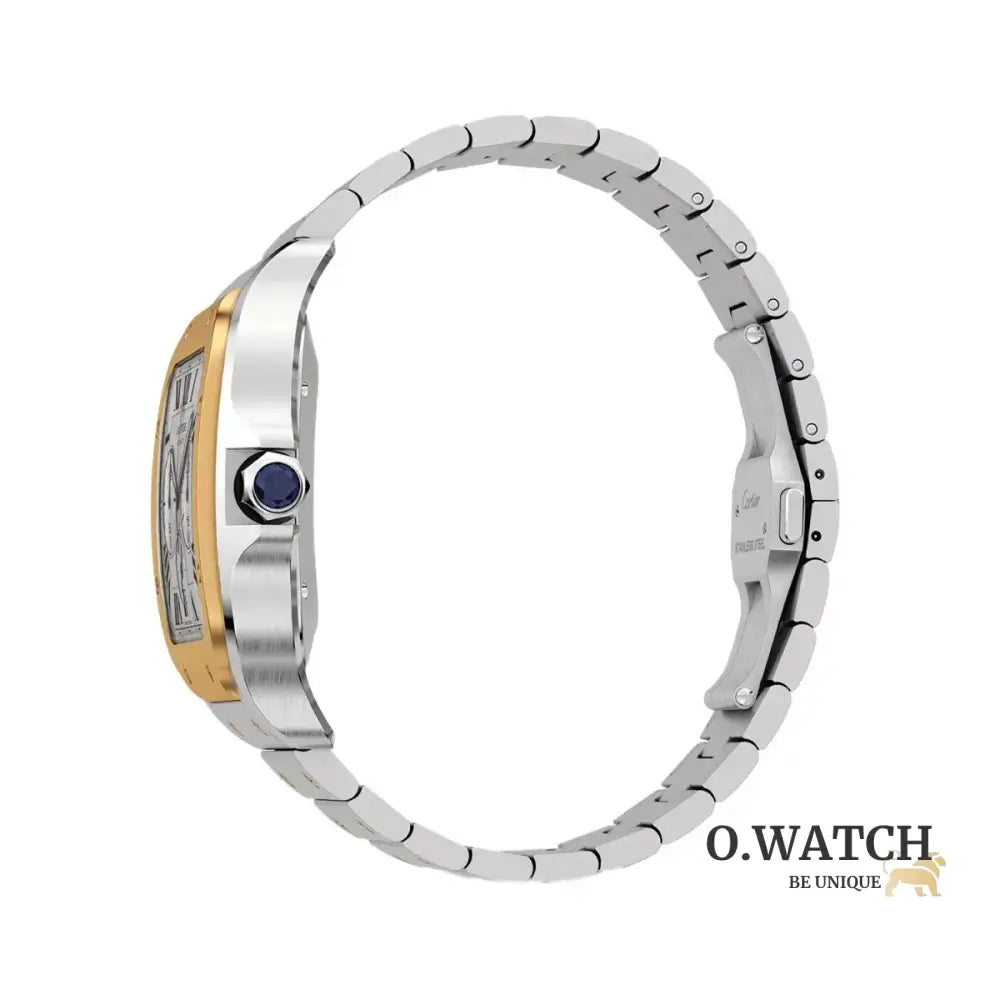 Cartier Santos Chronograph Stainless Steel bronze MONTRE