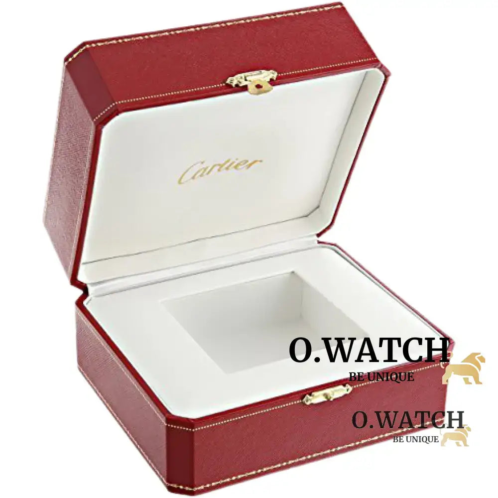 Cartier Santos MONTRE