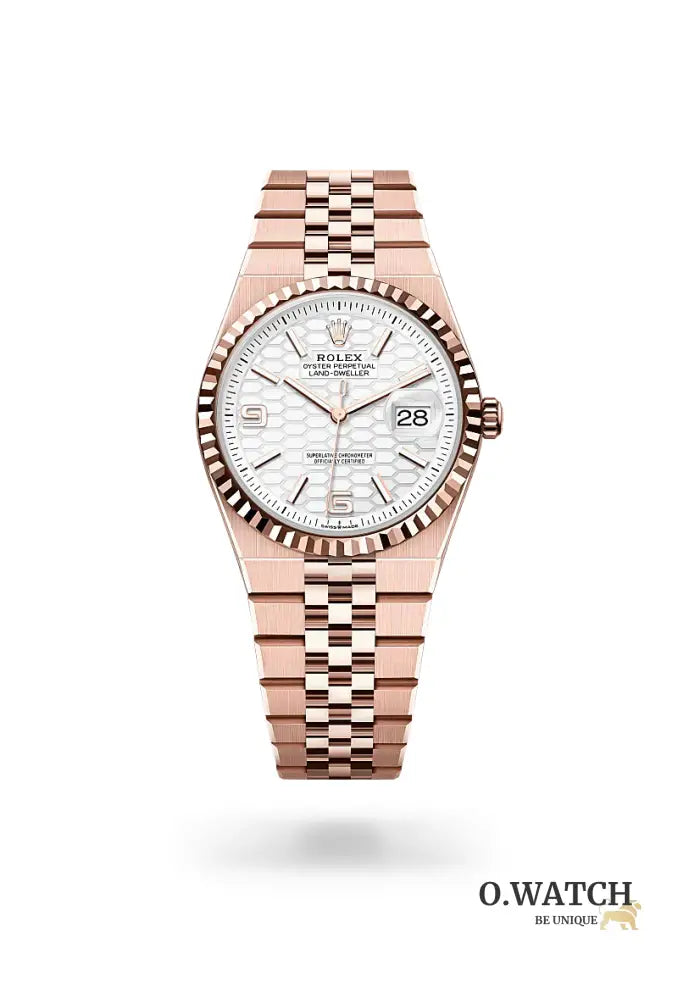 Land‑Dweller 36 M127285TBR‑0002 Land-Dweller 40