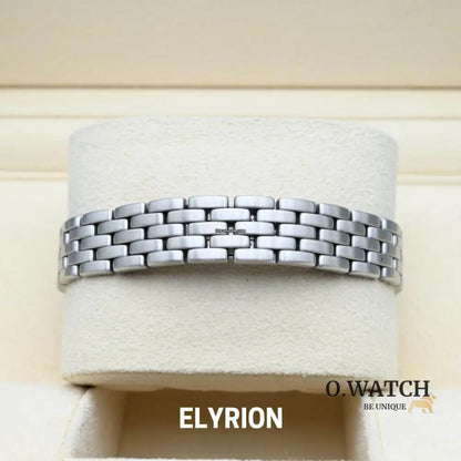 Montre Femme - Panthère Acier