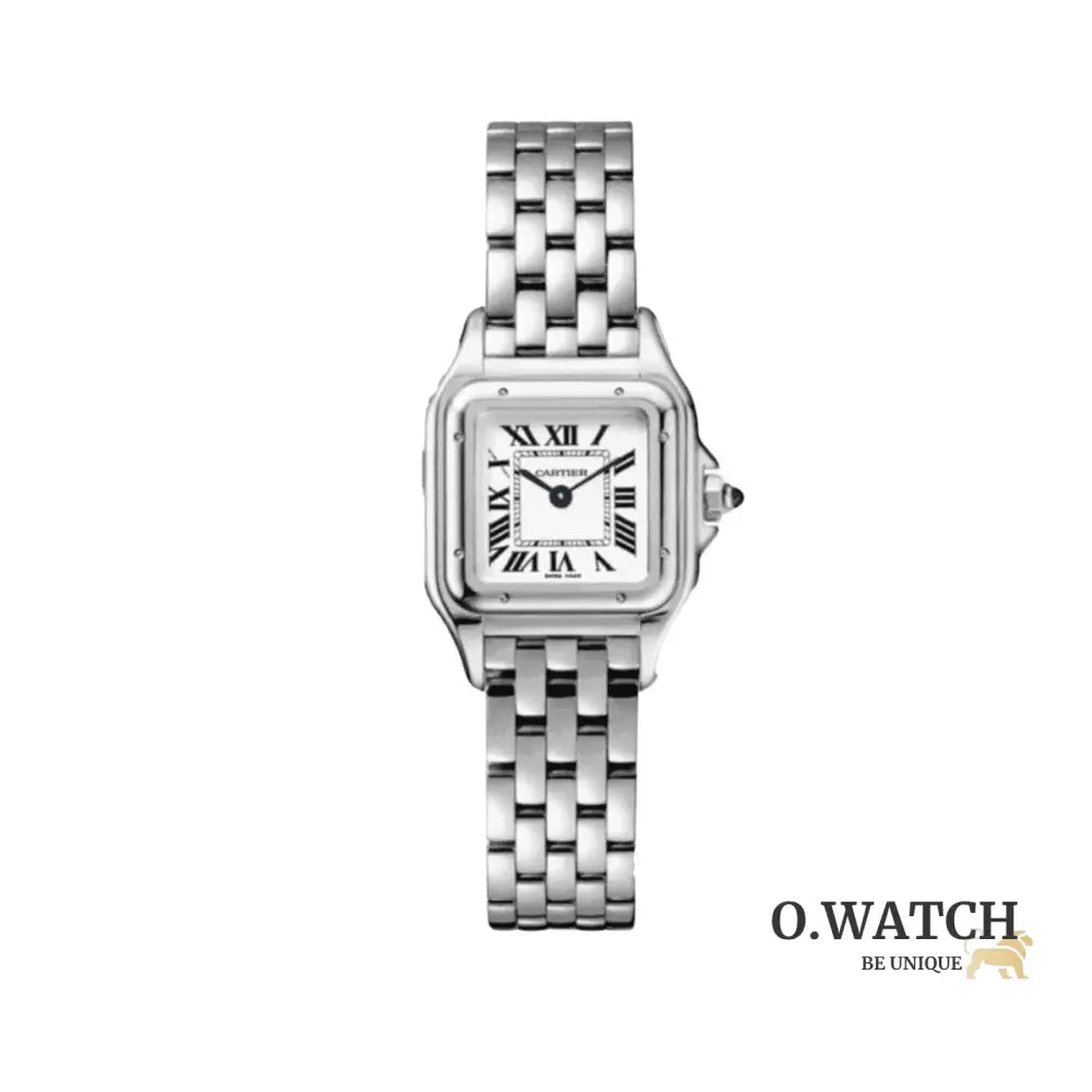 Montre Femme - Panthère Acier