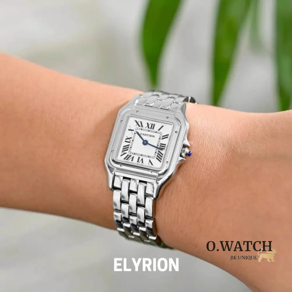 Montre Femme - Panthère Acier