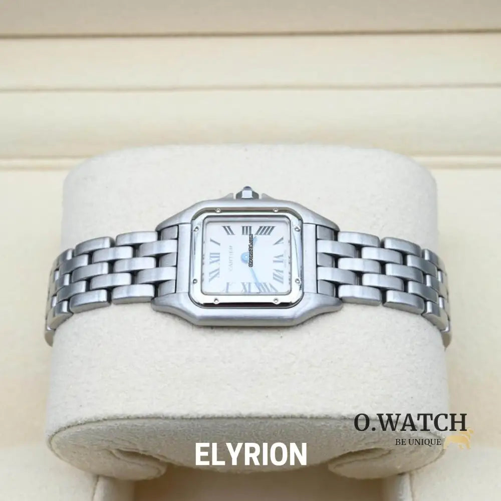 Montre Femme - Panthère Acier