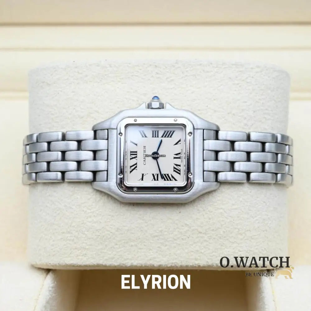 Montre Femme - Panthère Acier