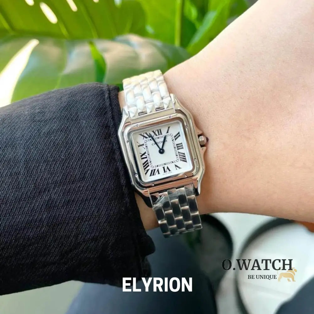 Montre Femme - Panthère Acier