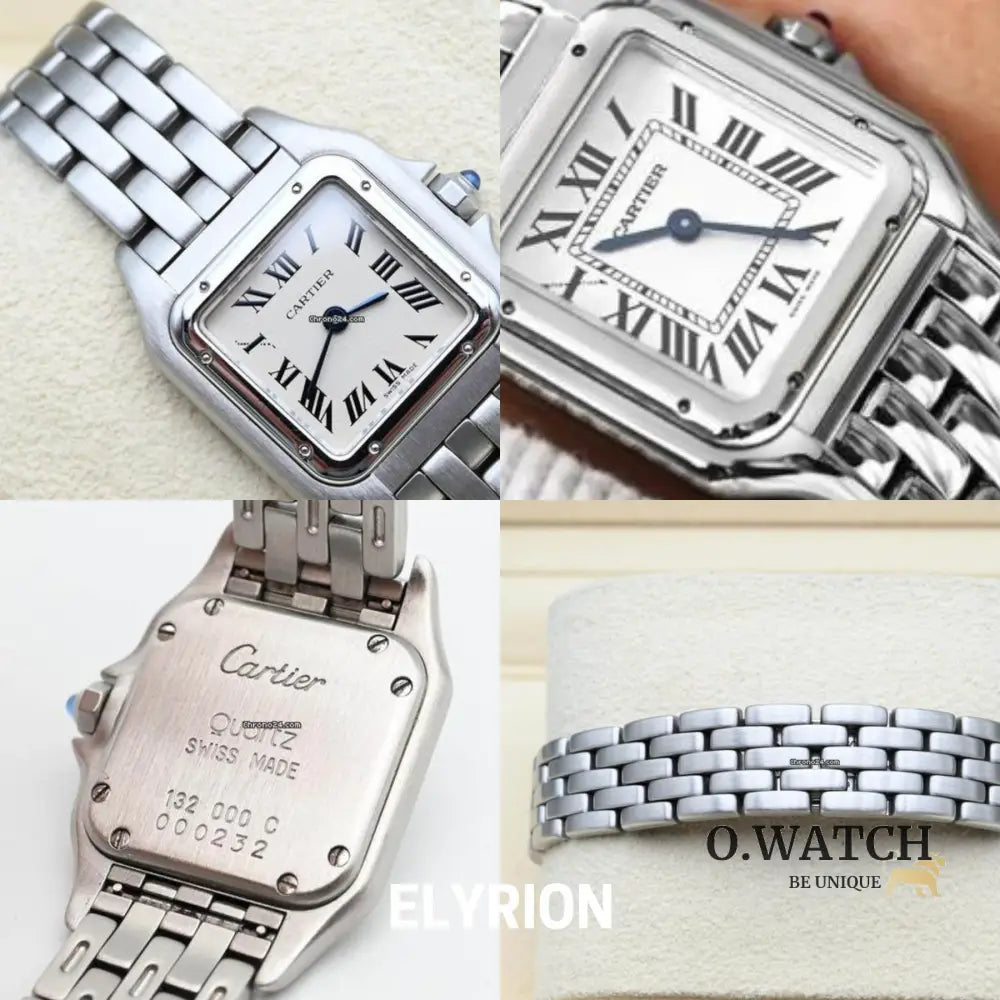 Montre Femme - Panthère Acier