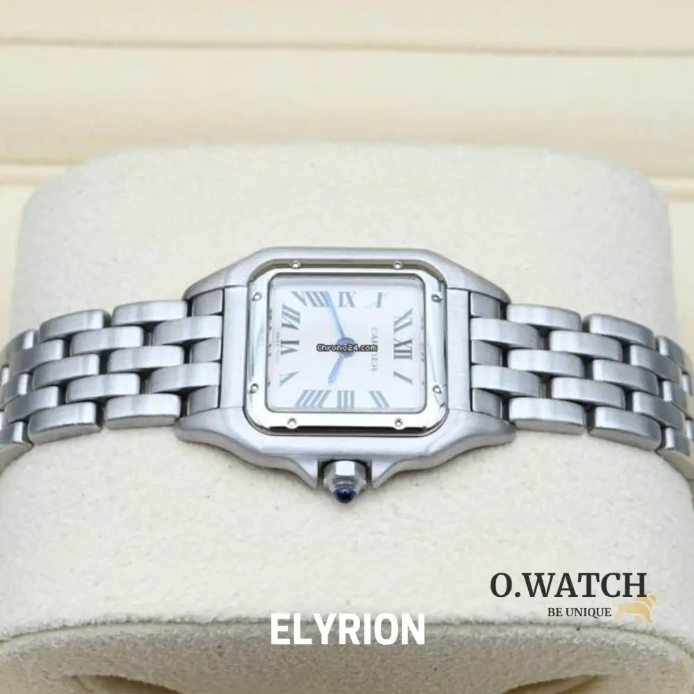 Montre Femme - Panthère Acier