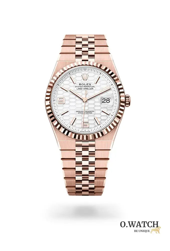 Rolex Land-Dweller 40 M127335‑0001 Land-Dweller 40